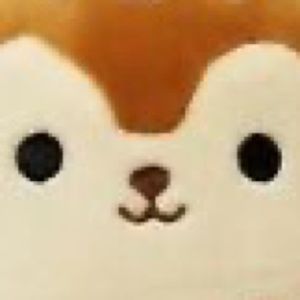 Meet your Posher, Lil